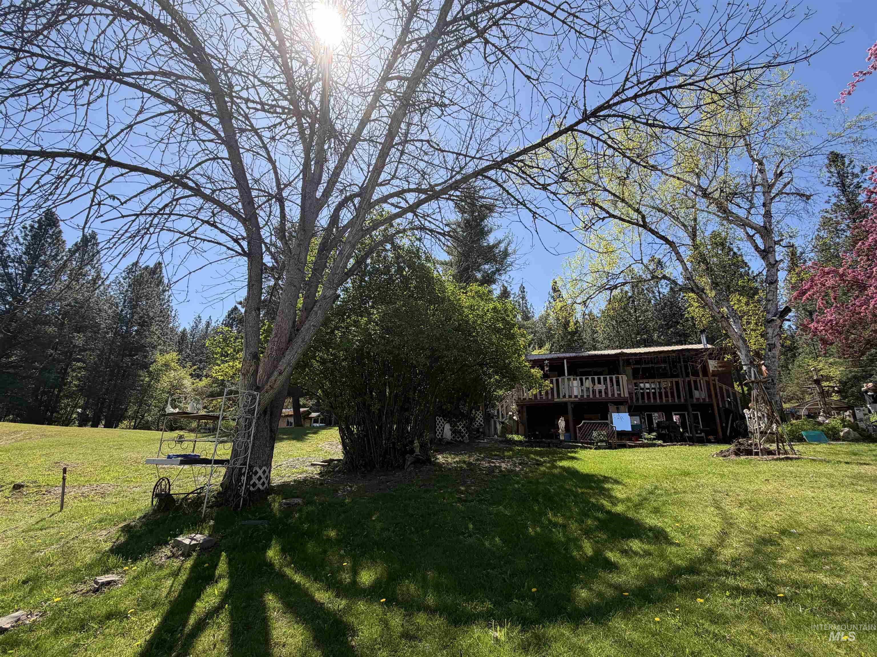 1238 Obrian Road Orofino, ID 83544 - Photo 12 of 50