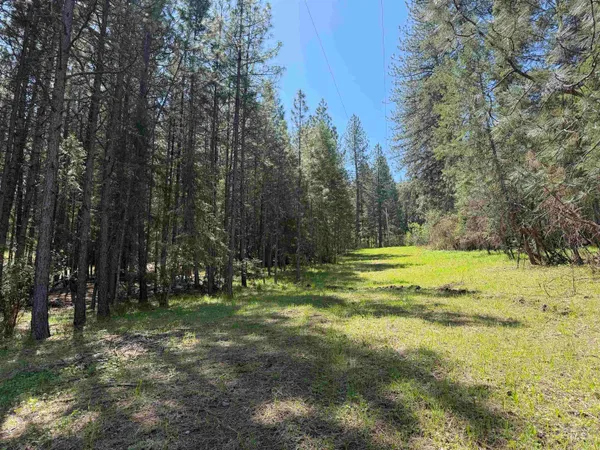 $330,000 | 1238 Obrian Road, Orofino, ID 83544