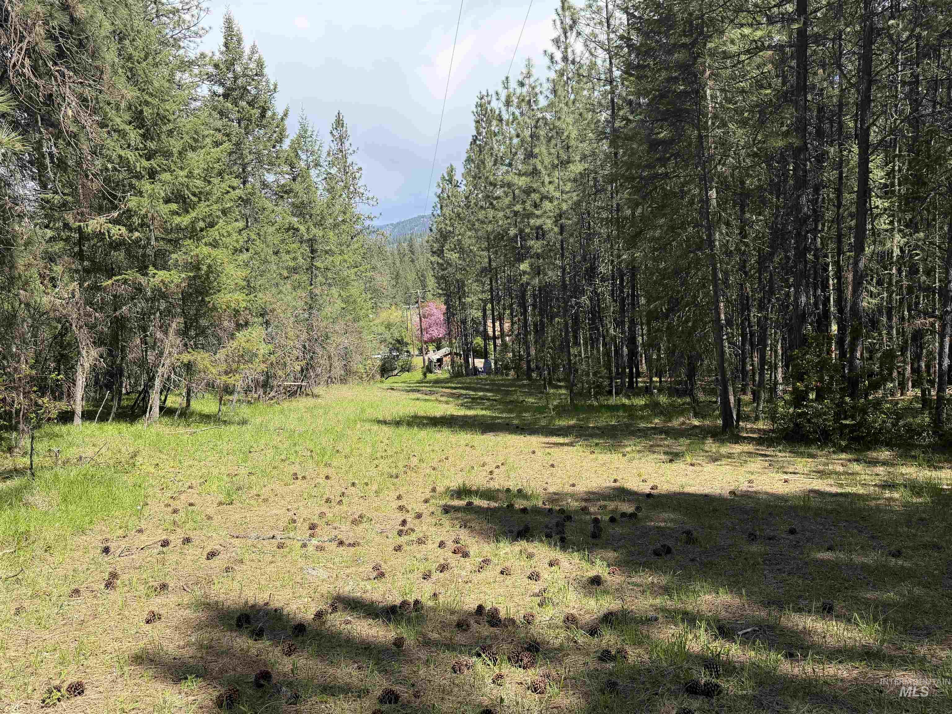 1238 Obrian Road Orofino, ID 83544 - Photo 48 of 50