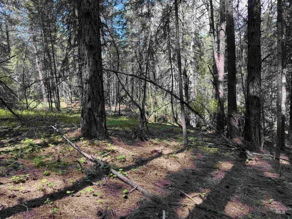 $330,000 | 1238 Obrian Road, Orofino, ID 83544