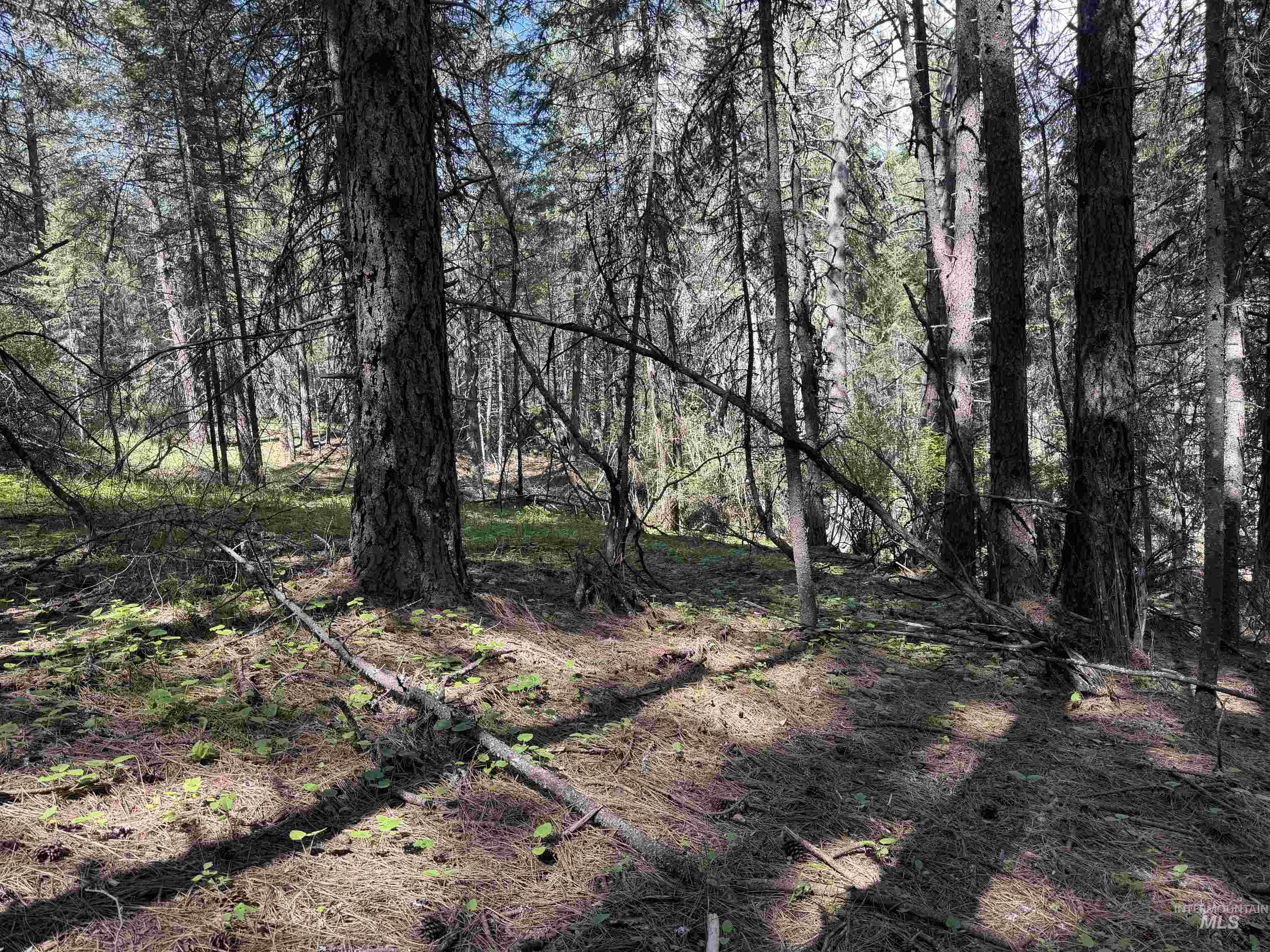 1238 Obrian Road Orofino, ID 83544 - Photo 50 of 50