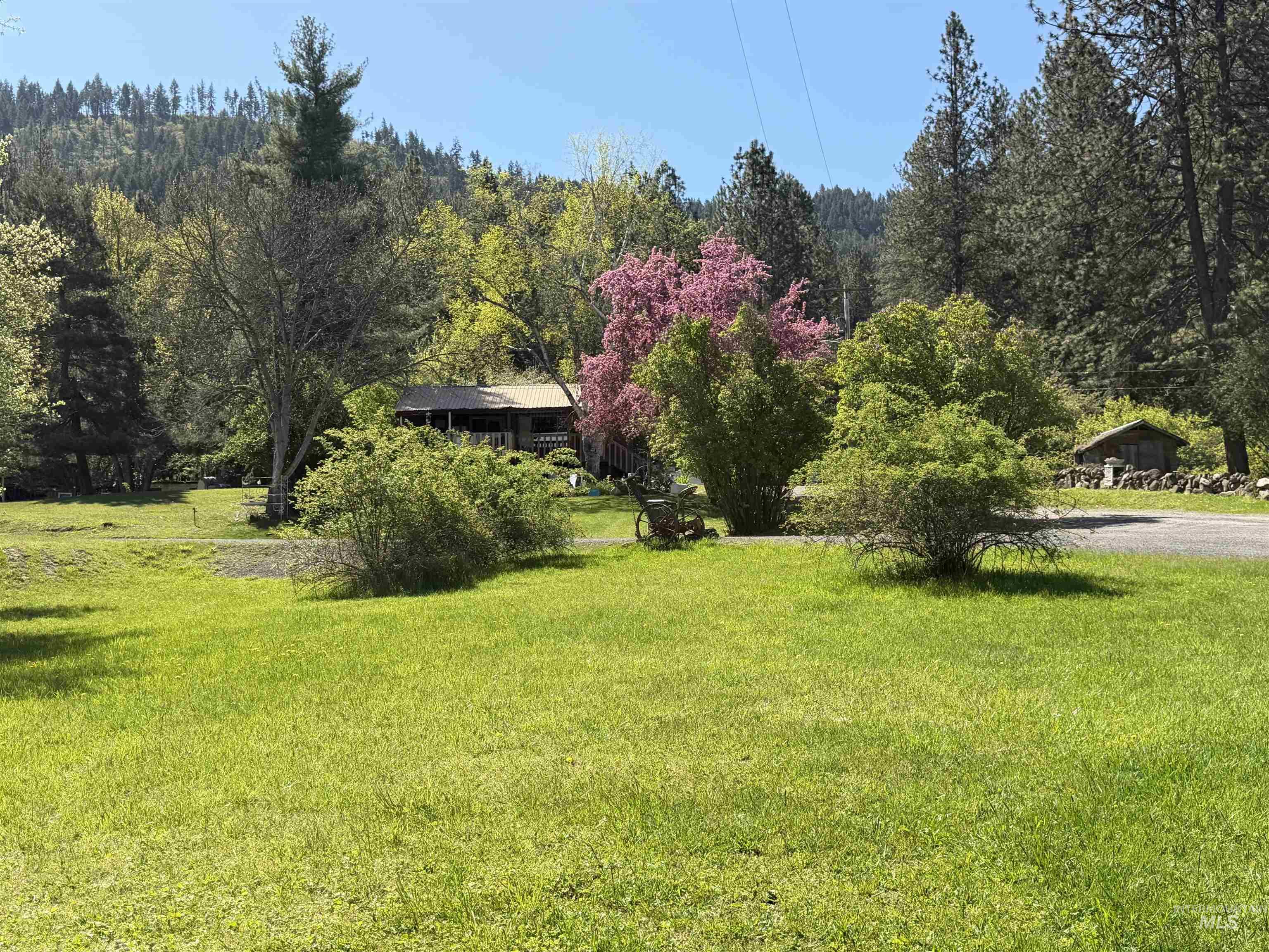 1238 Obrian Road Orofino, ID 83544 - Photo 6 of 50