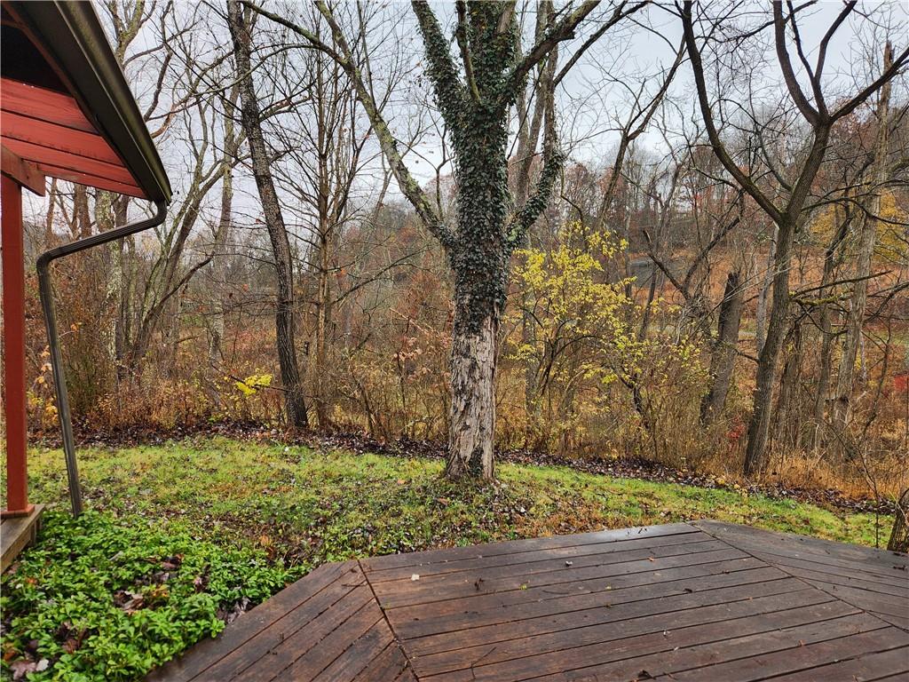 5330 Greensburg Road Apollo, PA 15613 - Photo 39 of 39 a view of backyard with tree