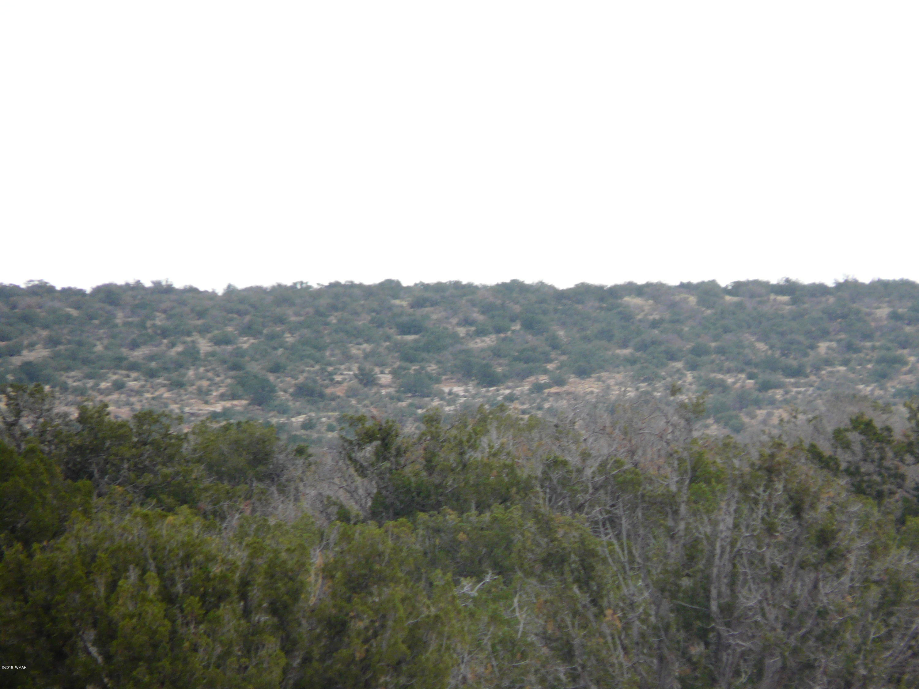 Lot 251 Chevelon Canyon Ranch, Unit 2 Heber, AZ 85928 - Photo 4 of 13