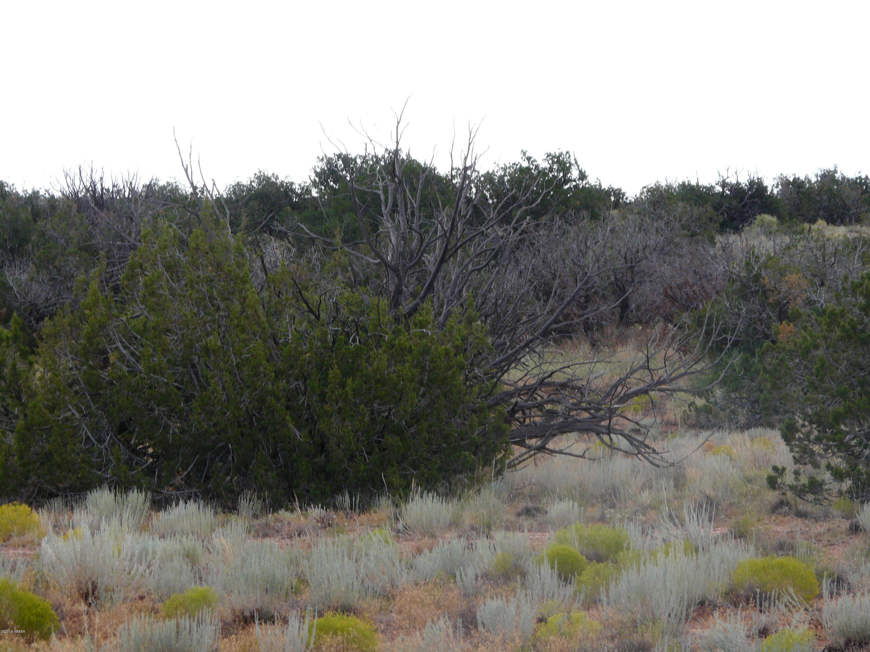 Lot 251 Chevelon Canyon Ranch, Unit 2 Heber, AZ 85928 - Photo 7 of 13