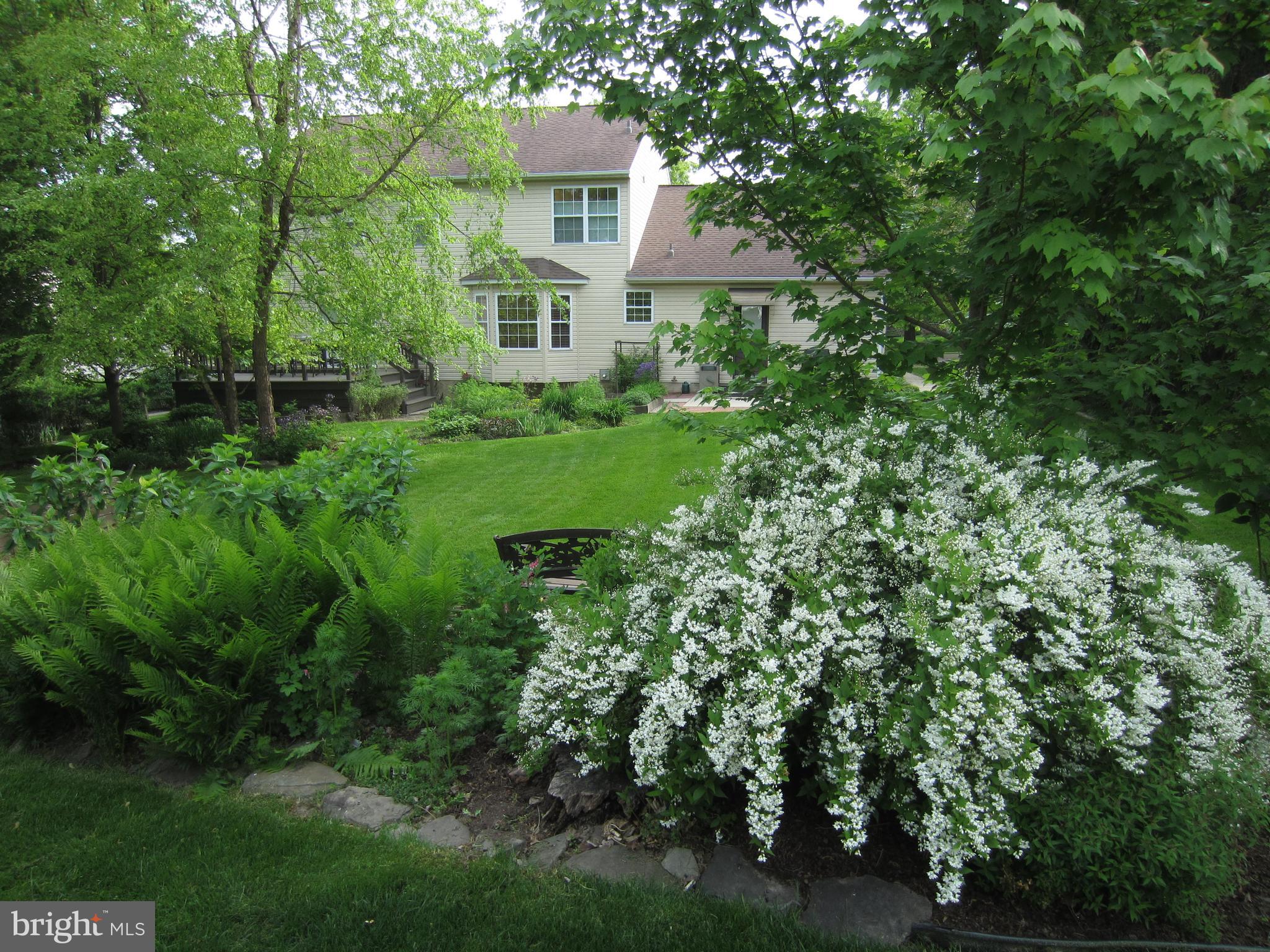 202 Strassburger Road Perkasie, PA 18944 - Photo 14 of 35 Gorgeous landscaping and garden beds