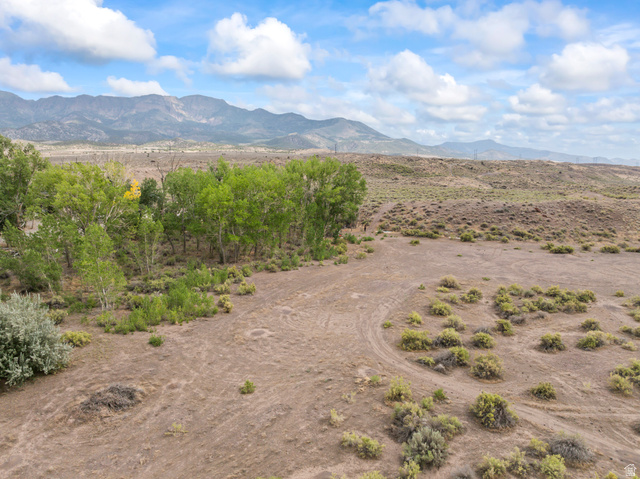 Expansive undeveloped land with a distant mountain range backdrop, featuring scattered desert flora, and a cluster of deciduous trees