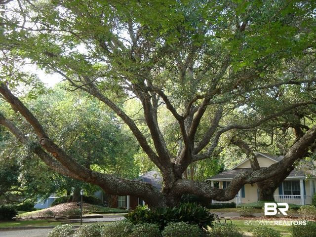 6641 Jackson Square, Unit C4 Daphne, AL 36526 - Photo 11 of 11
