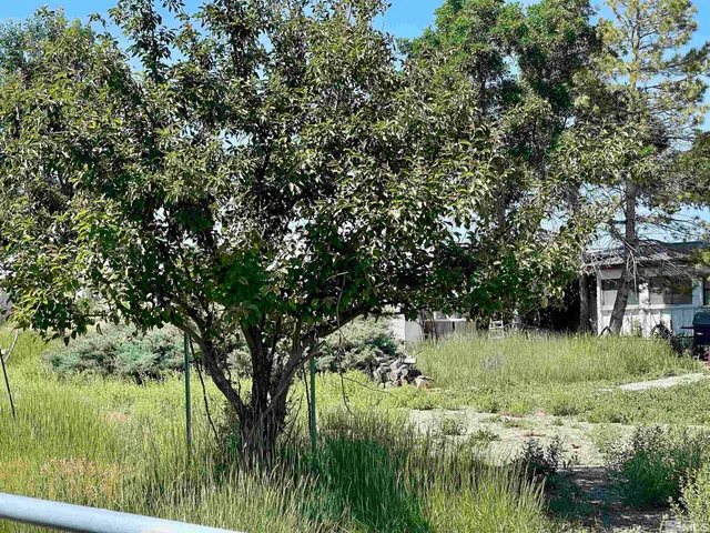 a view of a garden with a lake