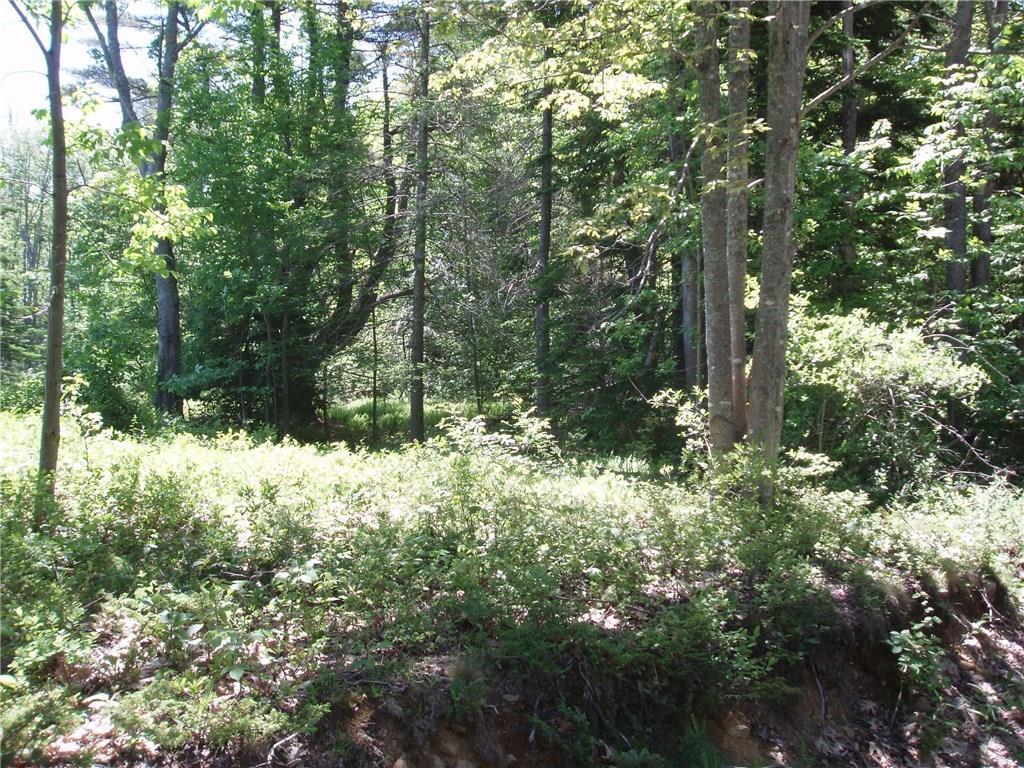 Lot 17 South Road Chebeague Island, ME 04017 - Photo 2 of 3 Photo
