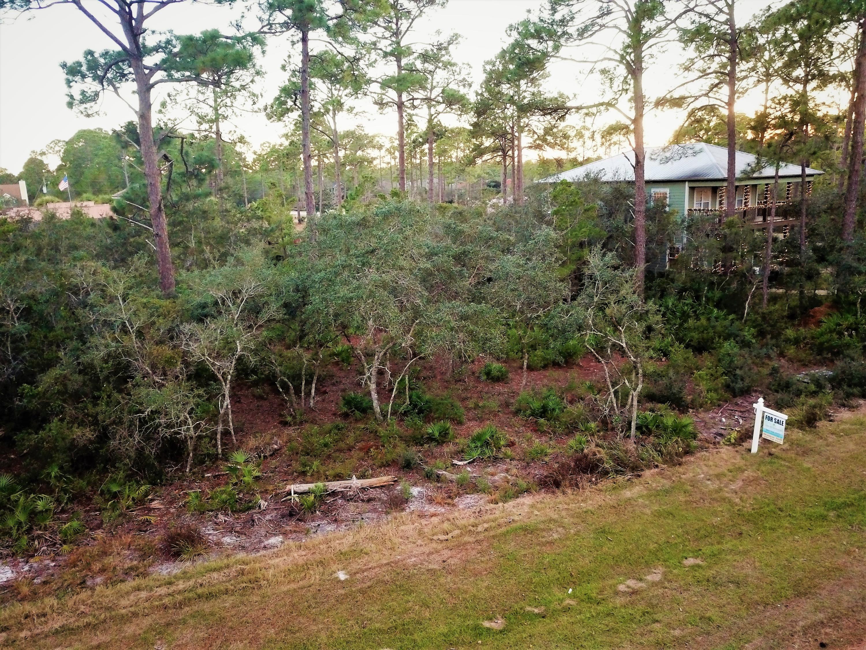 31 Paradise Point Lane Santa Rosa Beach, FL 32459 - Photo 5 of 12 Frontal Lot View