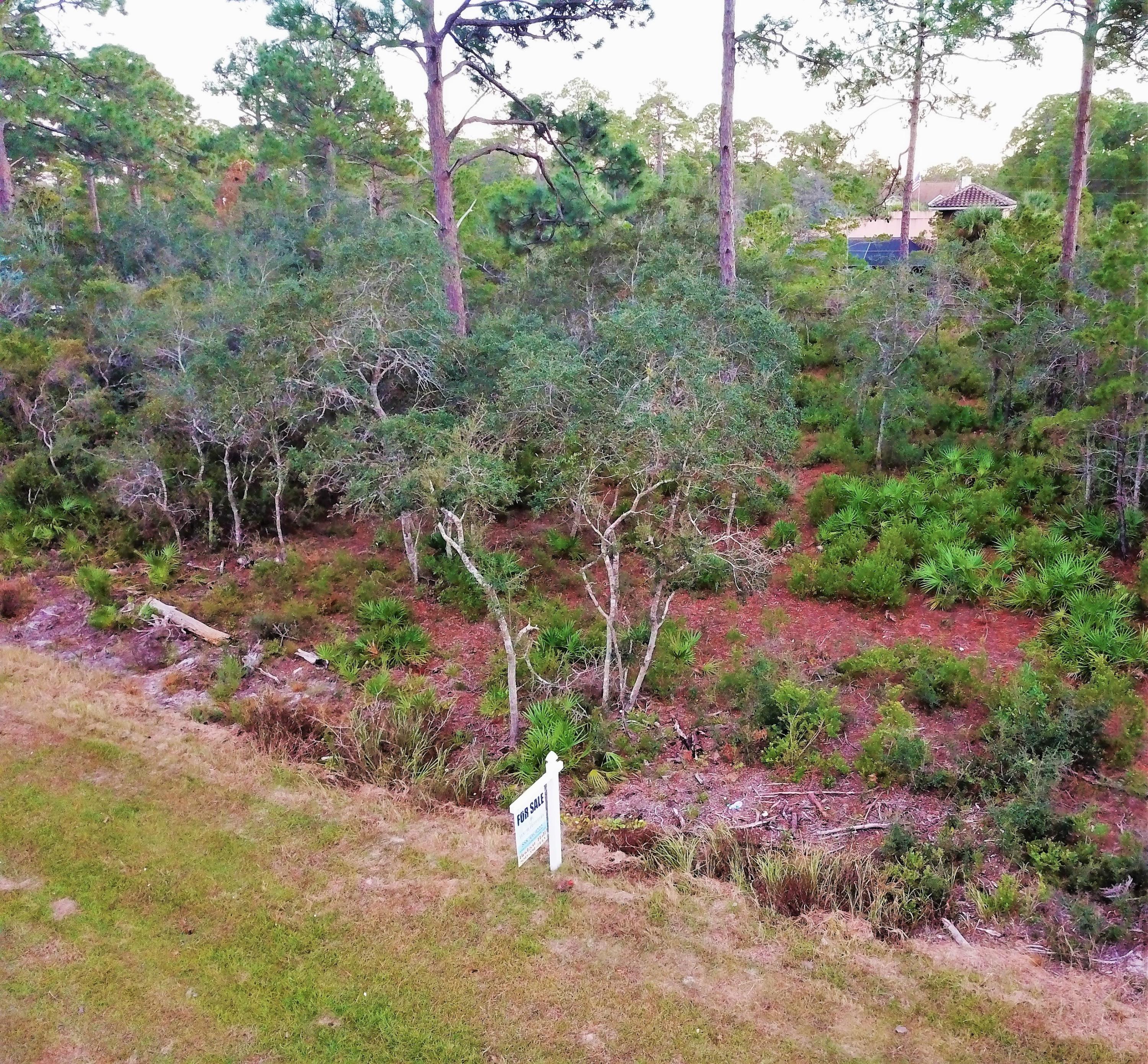 31 Paradise Point Lane Santa Rosa Beach, FL 32459 - Photo 6 of 12 Frontal Lot View 2