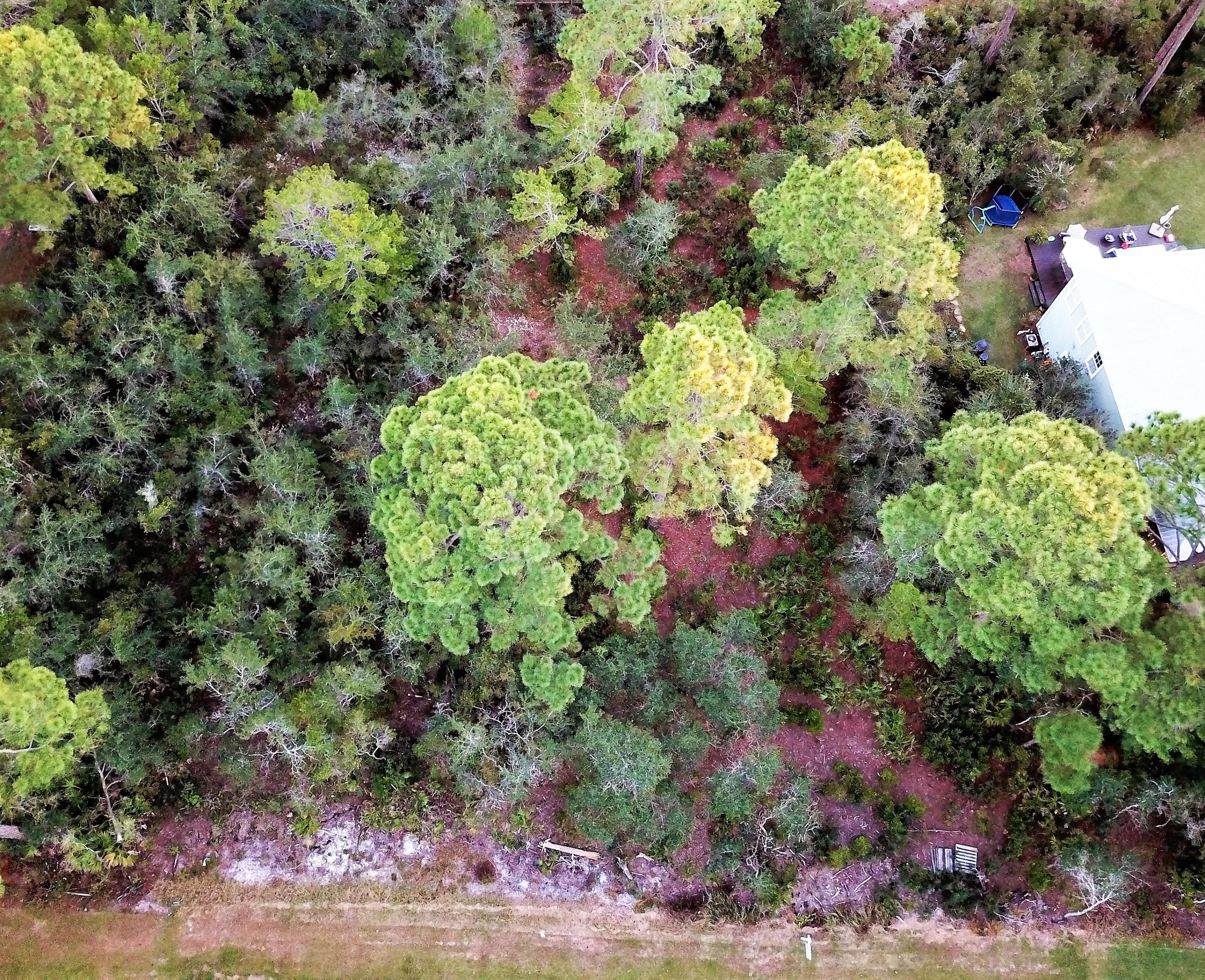 31 Paradise Point Lane Santa Rosa Beach, FL 32459 - Photo 7 of 12 Aerial View