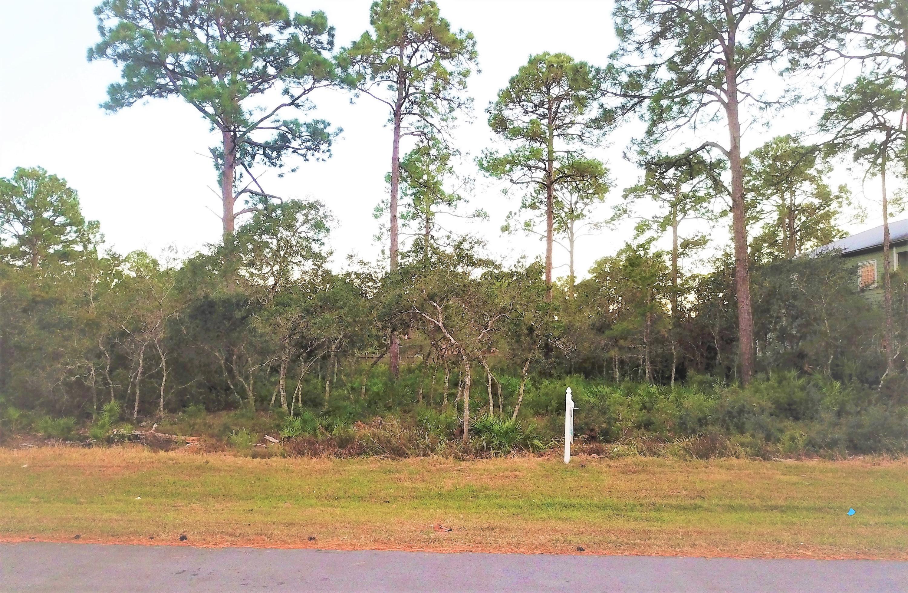31 Paradise Point Lane Santa Rosa Beach, FL 32459 - Photo 8 of 12 Direct Frontal View