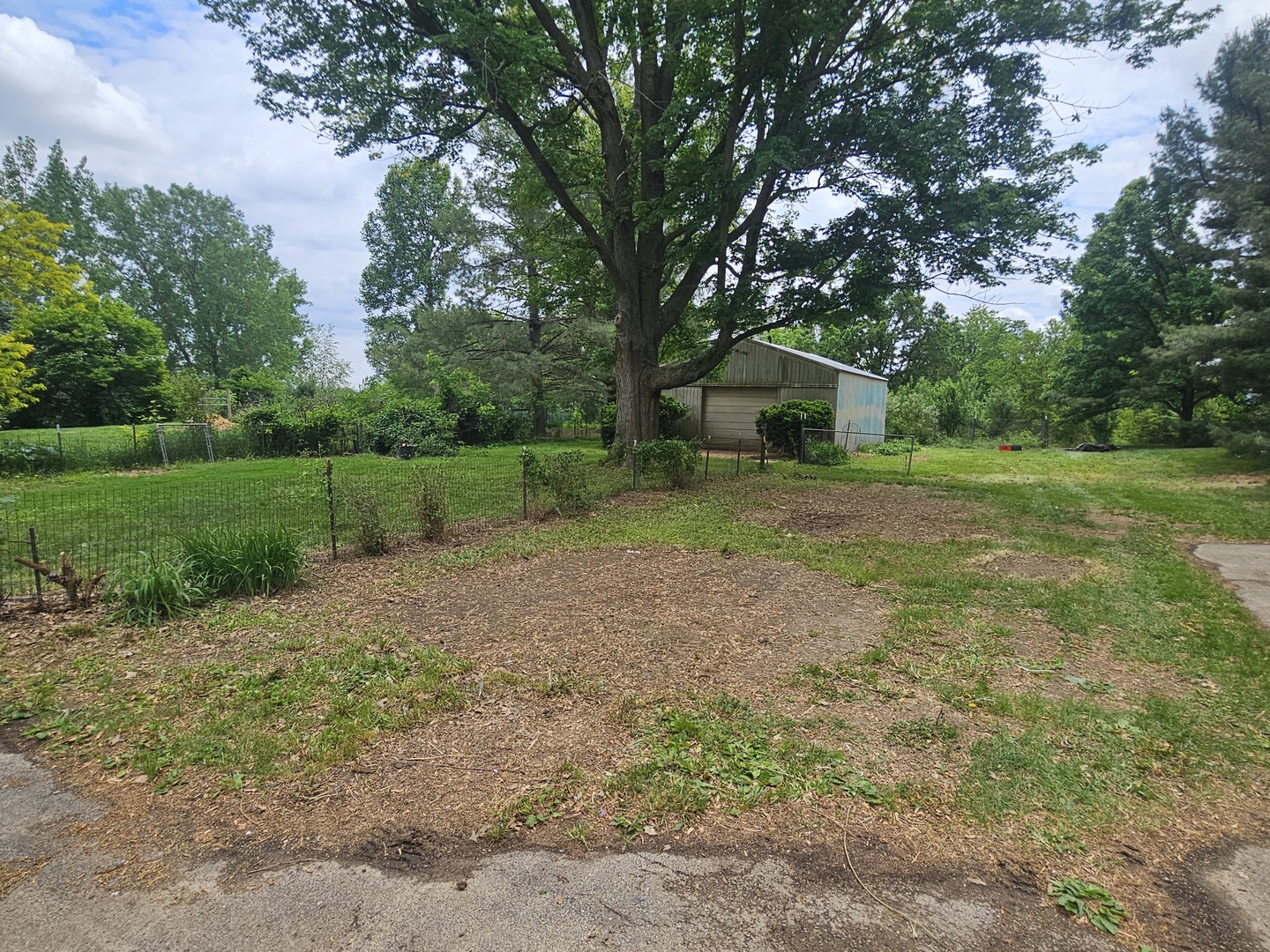 23025 Hazel Road Sterling, IL 61081 - Photo 21 of 29 a view of a big yard with plants and large trees