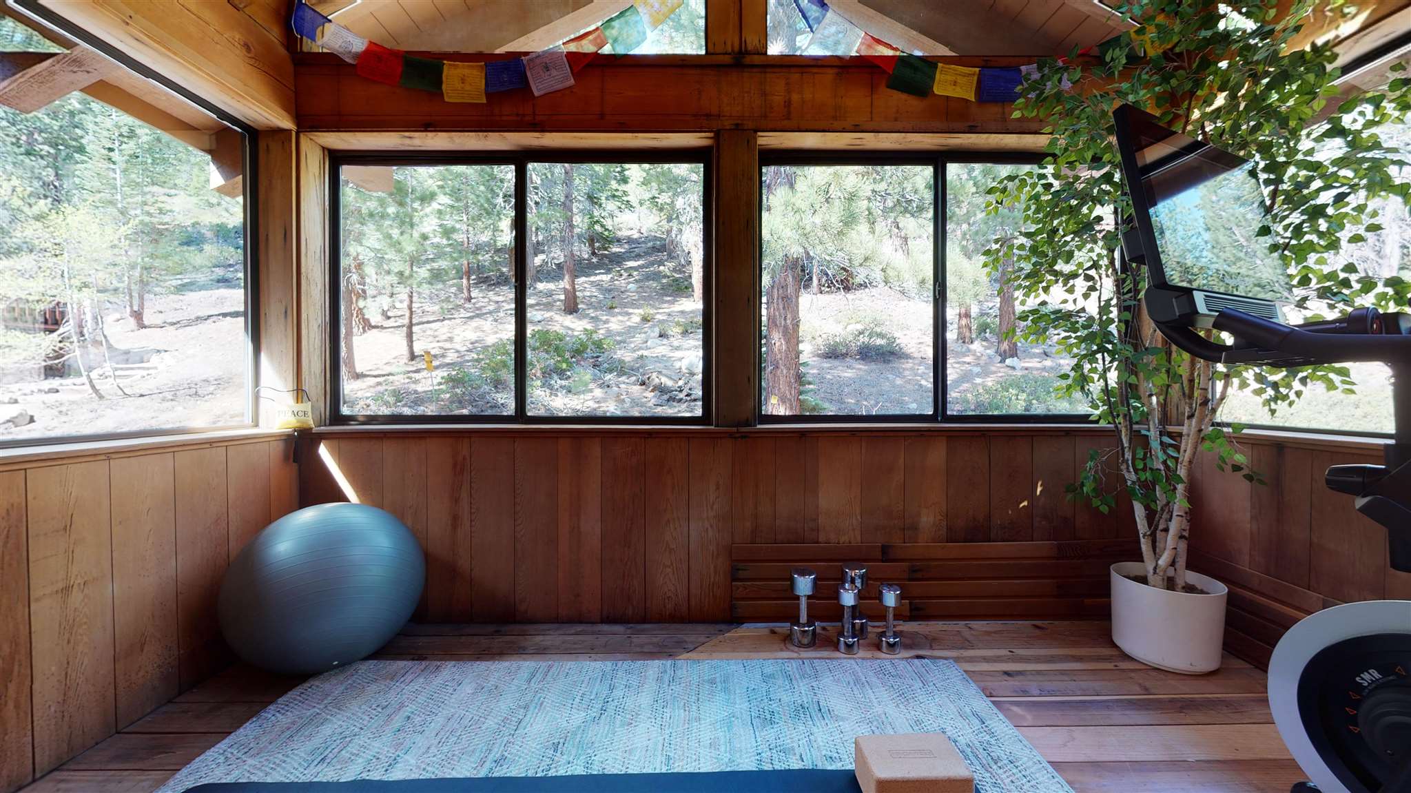 310 Grindelwald Road Mammoth Lakes, CA 93546 - Photo 25 of 47 Gallery Image 25