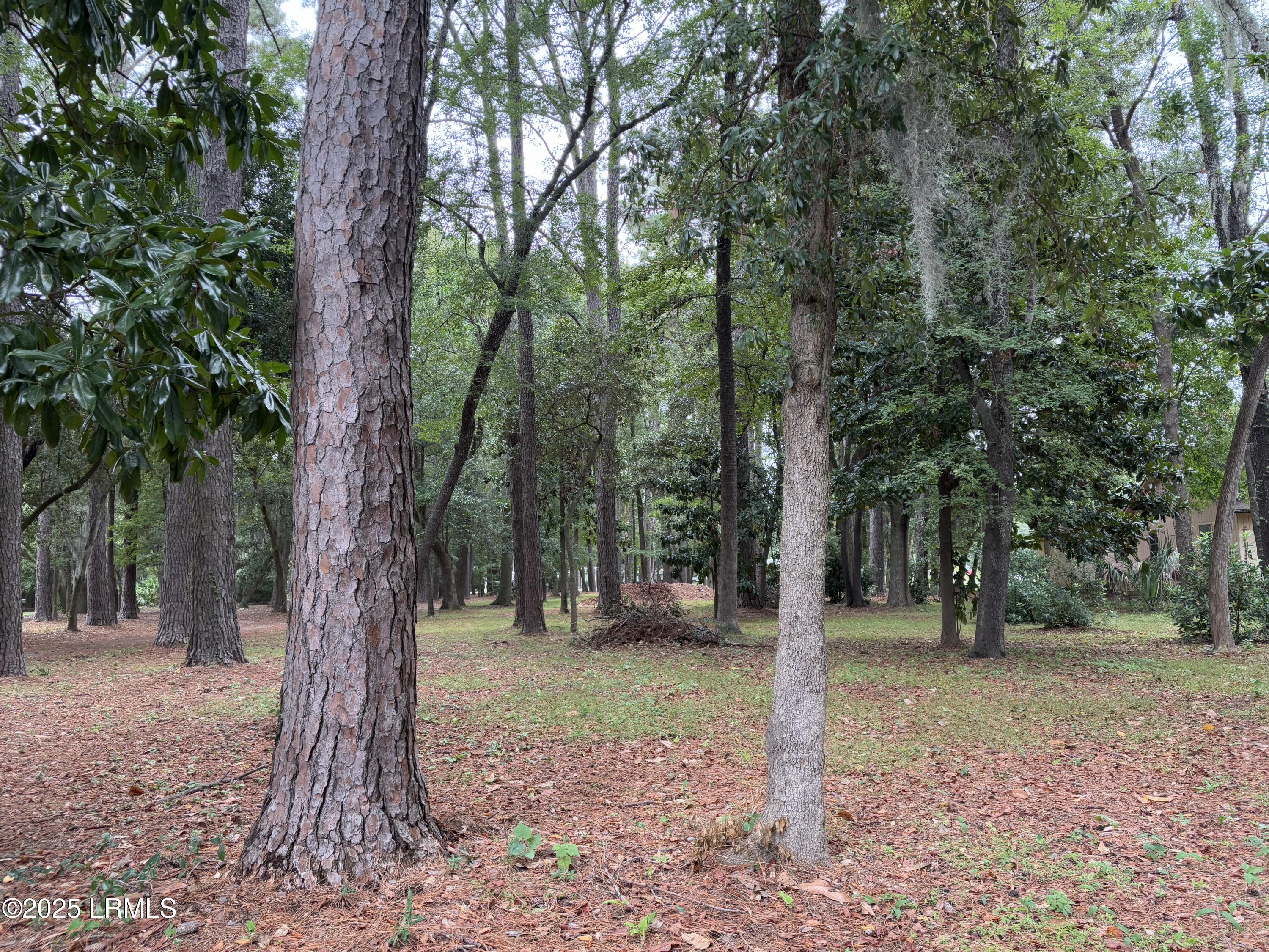 246 Stuart Point Road Seabrook, SC 29940 - Photo 12 of 12 Photo Sep 29 2025, 9 13 03 AM