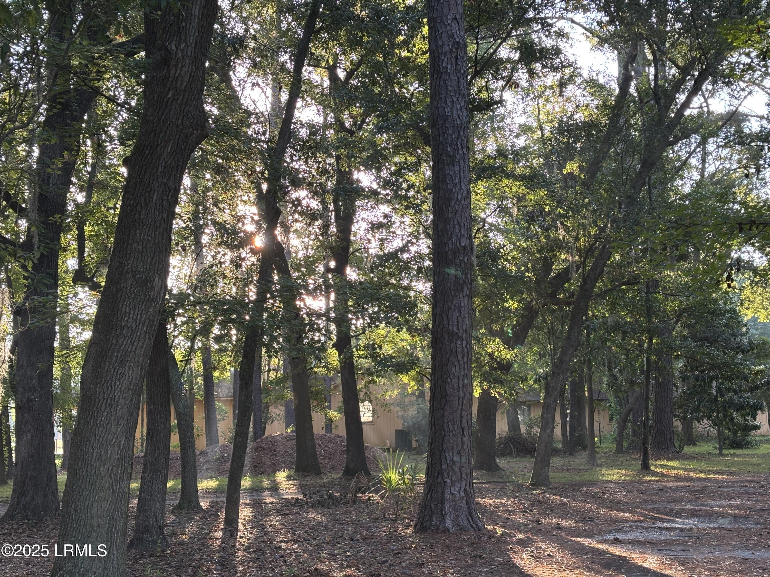 246 Stuart Point Road Seabrook, SC 29940 - Photo 9 of 12 Photo Sep 21 2025, 7 57 00 AM