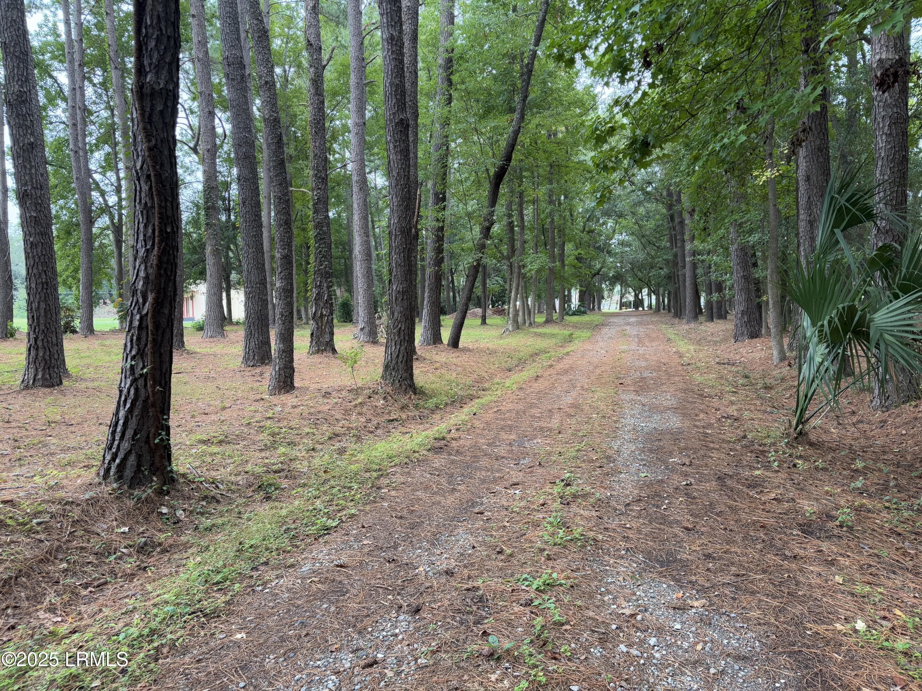 246 Stuart Point Road Seabrook, SC 29940 - Photo 10 of 12 Photo Sep 29 2025, 9 07 43 AM