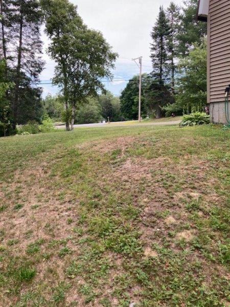 751 Bangor Road Dover-Foxcroft, ME 04426 - Photo 76 of 80 Road view