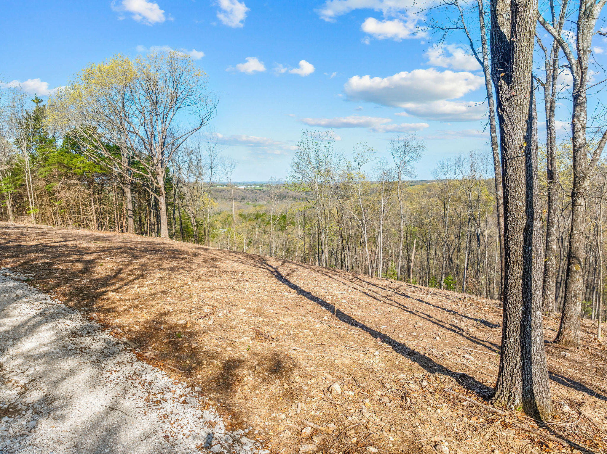 0 Tower Road Omaha, AR 72662 - Photo 1 of 1 DDOWELL--14