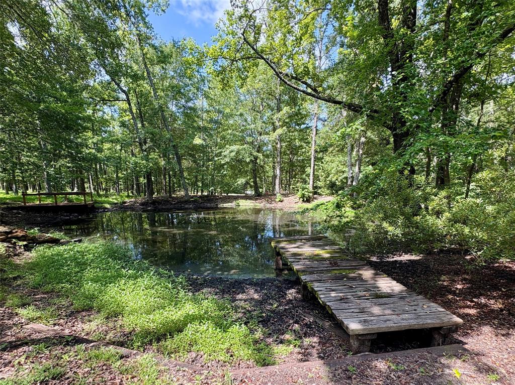 875 Arnold Paul Road Canton, TX 75103 - Photo 26 of 32