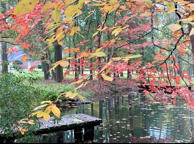 $639,000 | 875 Arnold Paul Road, Canton, TX 75103