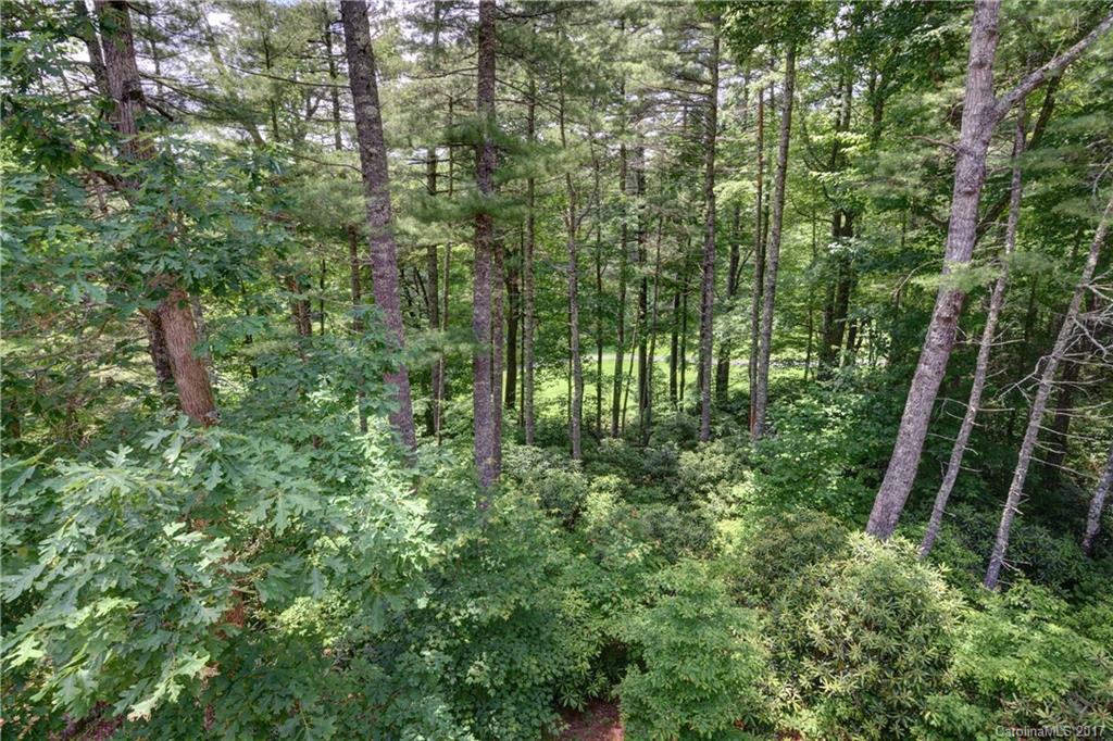 699 Gold Creek Road, Unit 27 Sapphire, NC 28774 - Photo 24 of 24 Gallery Image 24