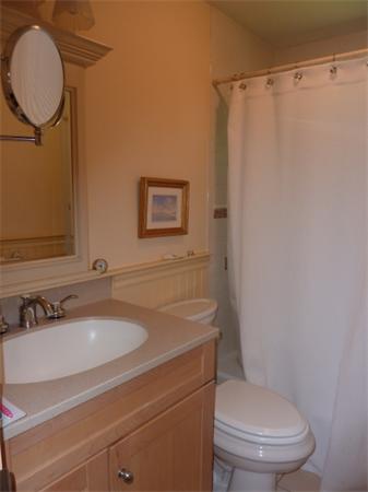 170 Middlesex Road Chestnut Hill, MA 02467 - Photo 5 of 7 a bathroom with a sink a toilet and a mirror