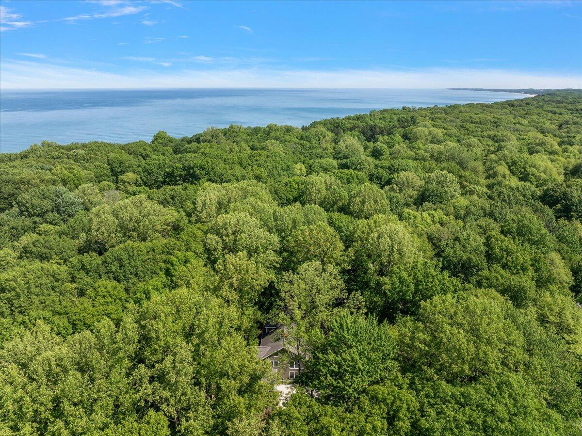 7957 Barbara's Way Harbert, MI 49115 - Photo 50 of 54 Aerial View