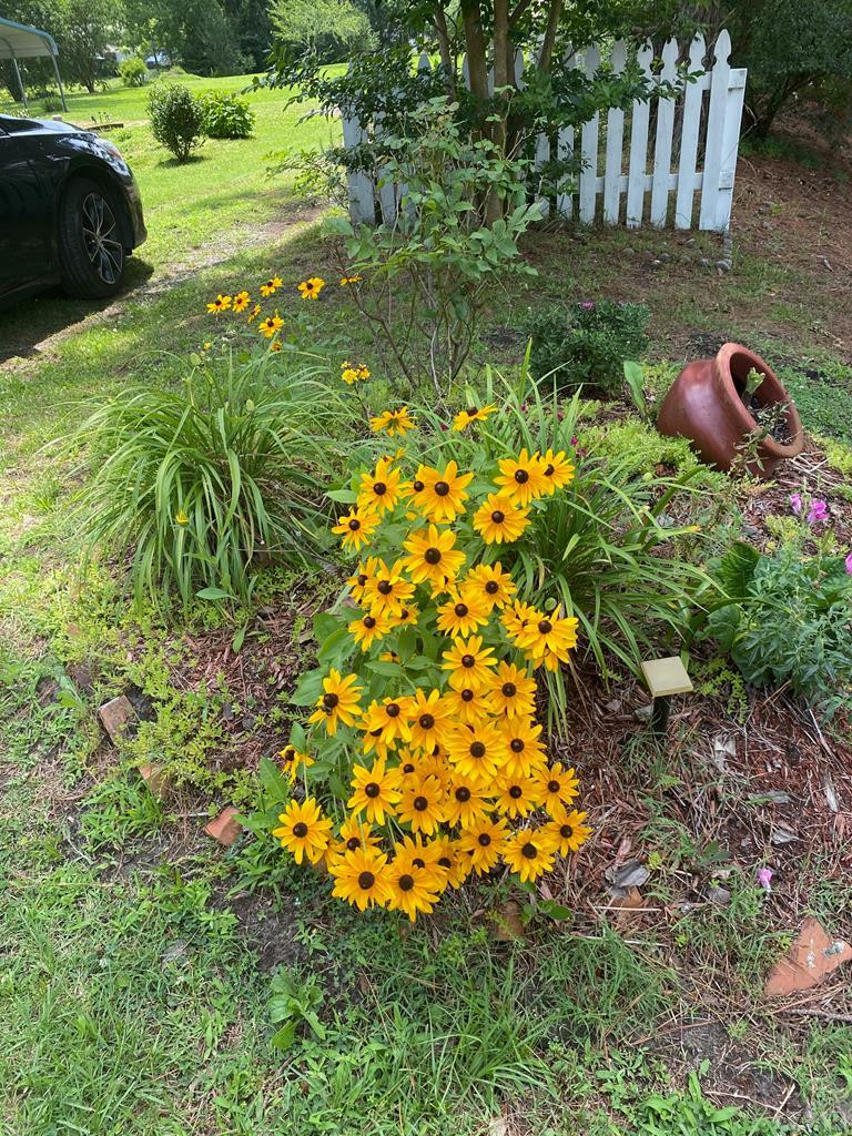 302 Main Street Winfall, NC 27944 - Photo 7 of 60 Gallery Image 7