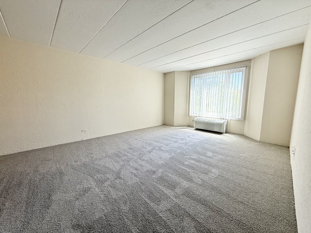 1 Renaissance Place, Unit 505 Palatine, IL 60067 - Photo 8 of 13