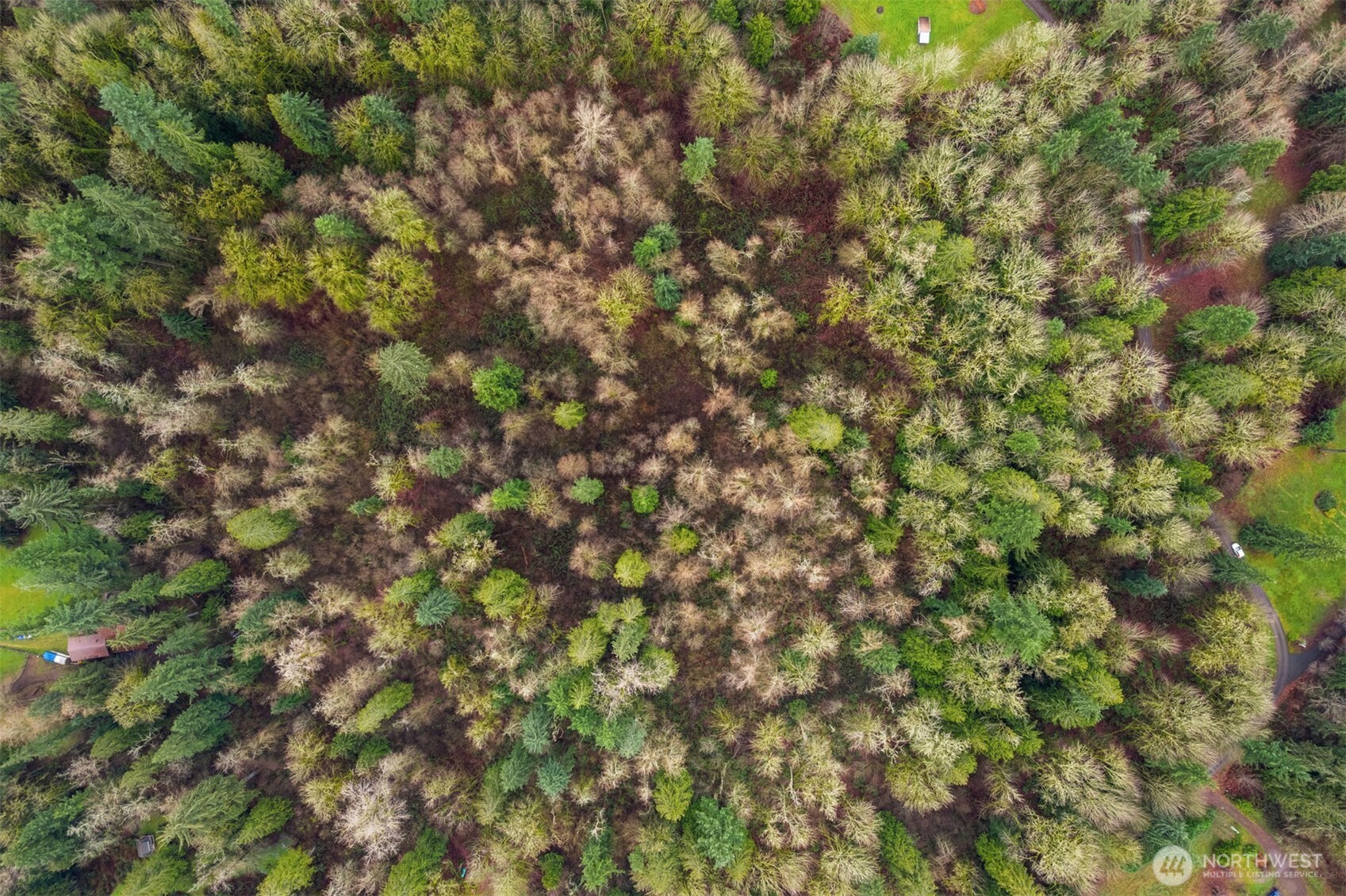 16702 Stackpole Road Monroe, WA 98272 - Photo 4 of 7