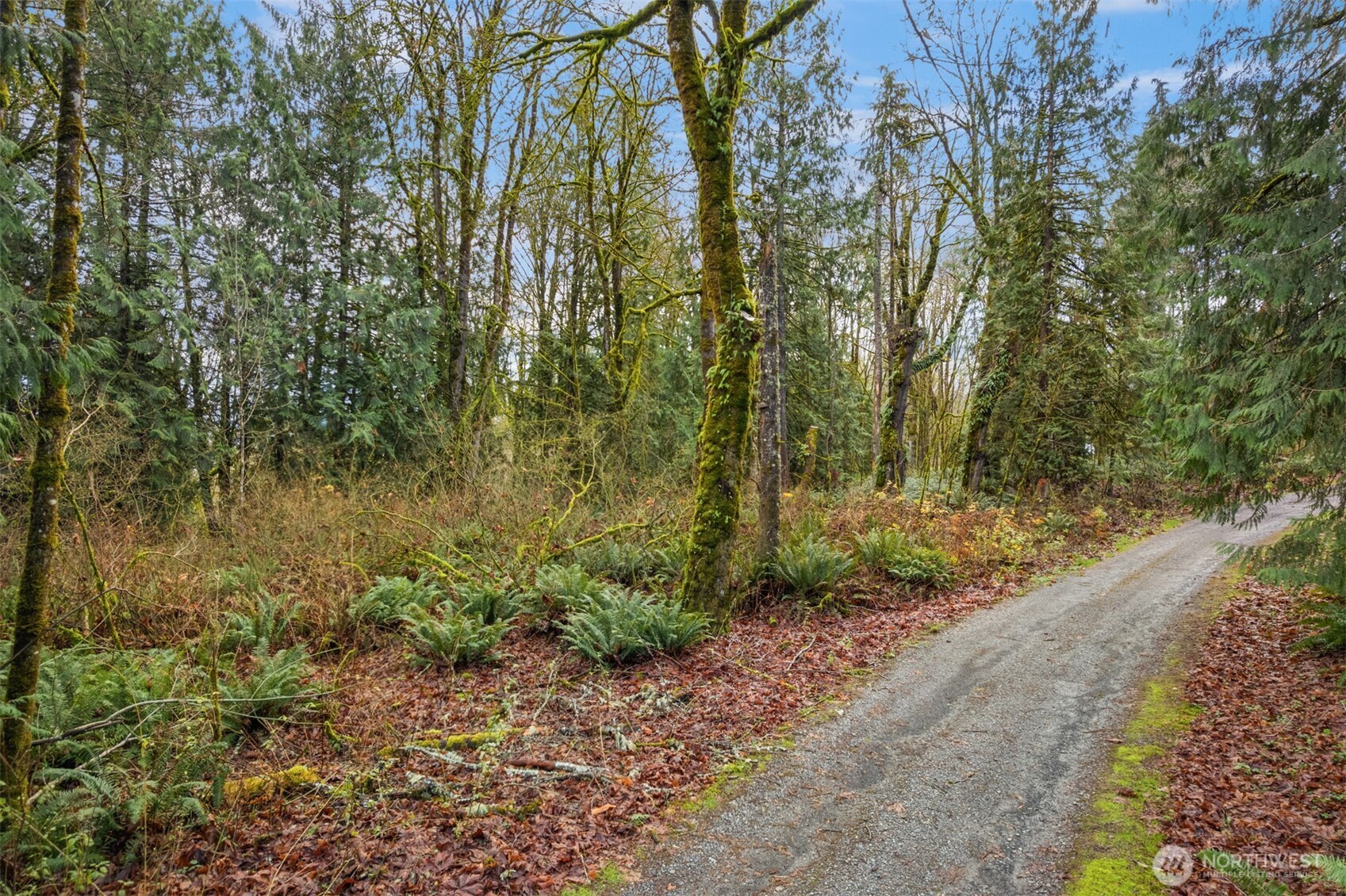 16702 Stackpole Road Monroe, WA 98272 - Photo 5 of 7