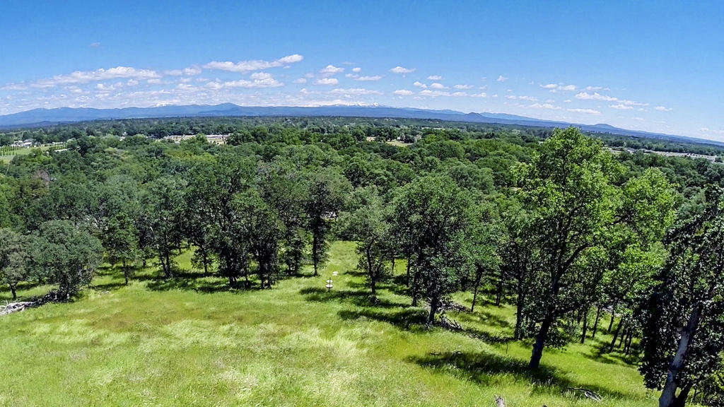 8480 Maynard Road Palo Cedro, CA 96073 - Photo 61 of 61 view looking east