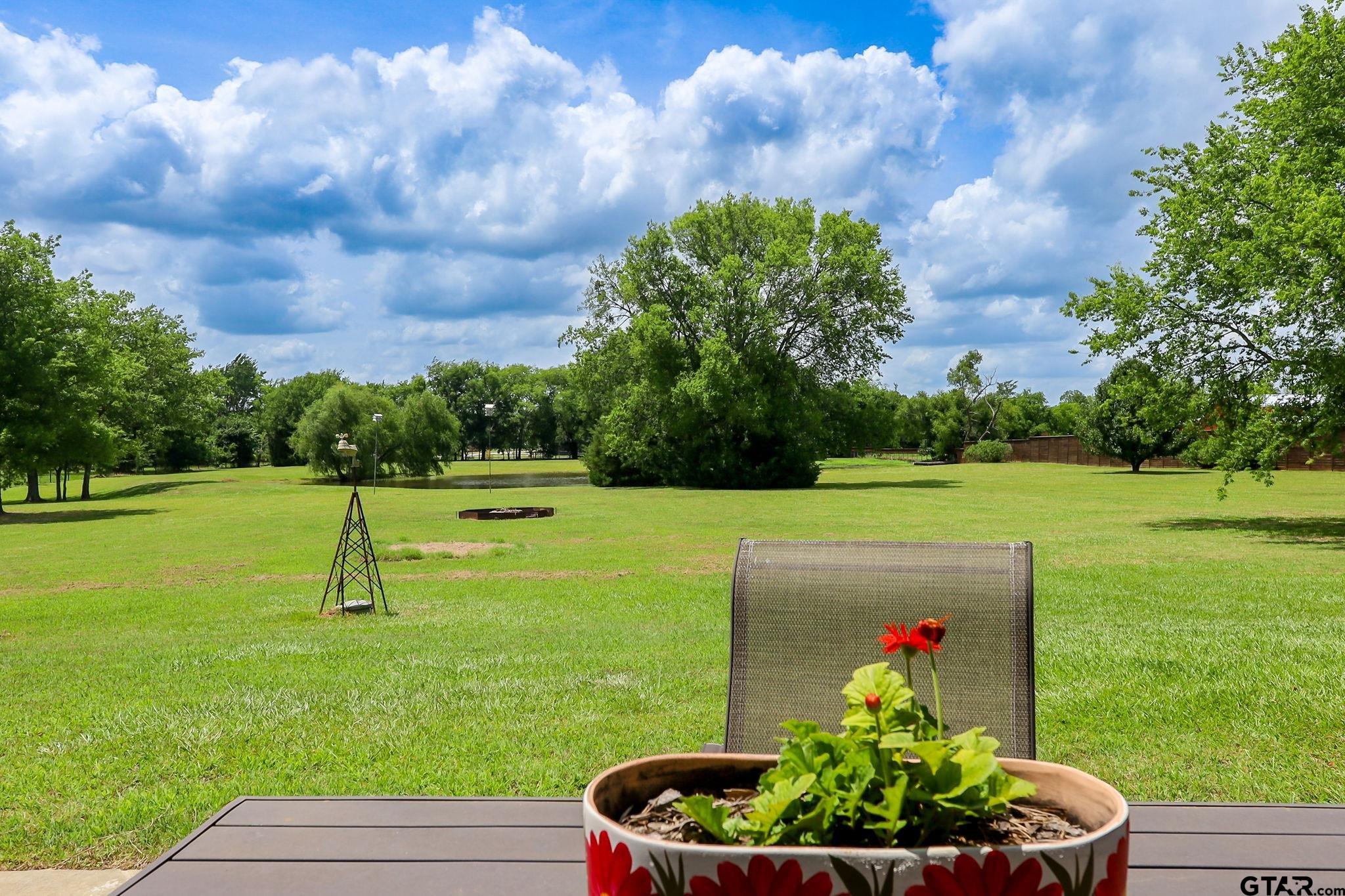 180 Vz Creek Canton, TX 75103 - Photo 35 of 38