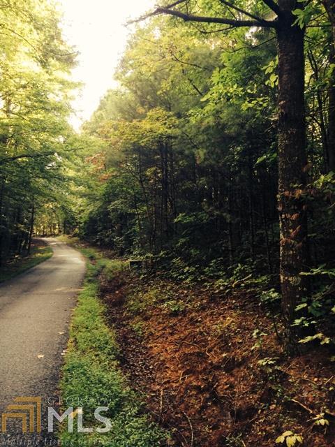 0 Hester Gap Road Cleveland, GA 30528 - Photo 1 of 1 Gallery Image 1