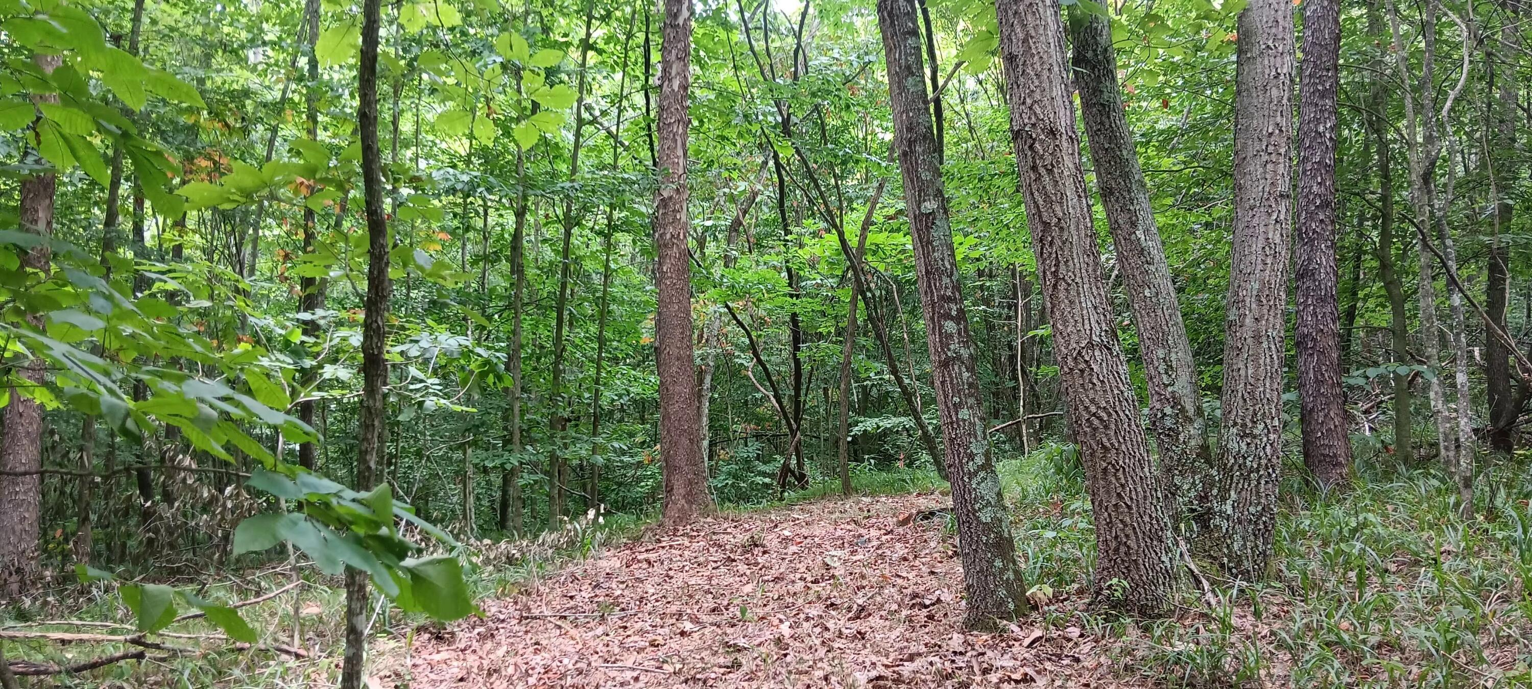 0 Orpheus-Keystone Road, Unit CABIN AT CAVES AT KEYSTONE) Thurman, OH 45685 - Photo 29 of 33 30