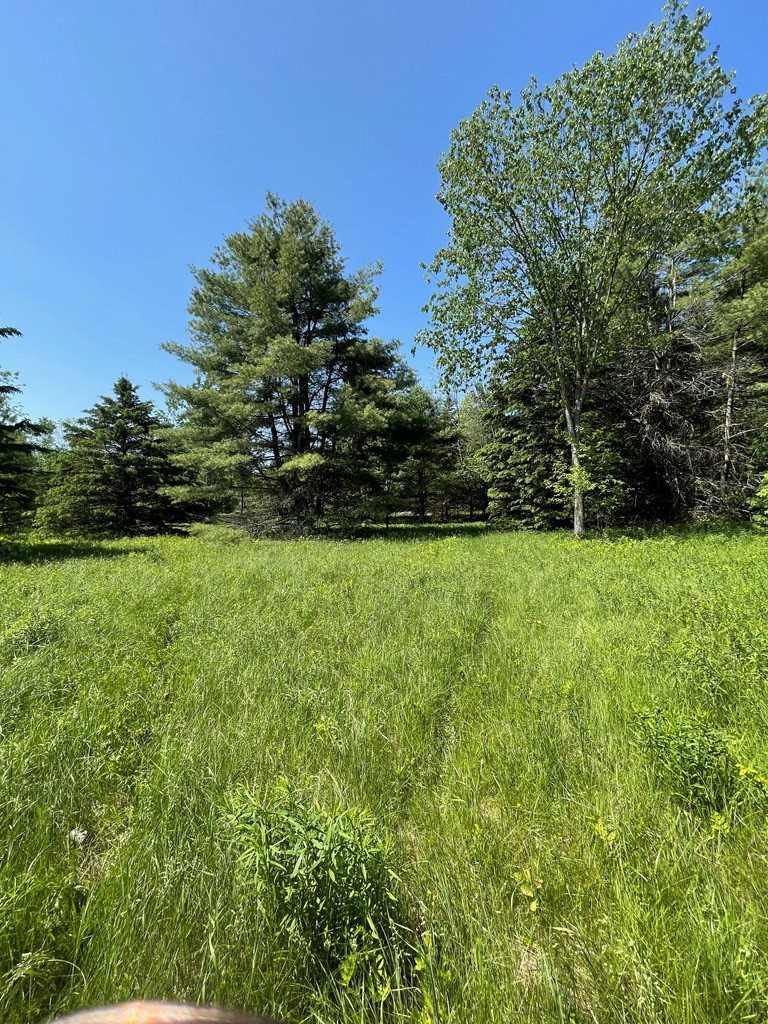 Tbd Stickney Bridge Road Jay, NY 12941 - Photo 26 of 39 Gallery Image 26