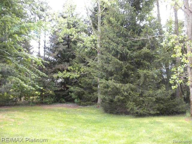 5493 West Coon Lake Road Howell, MI 48843 - Photo 6 of 19 View From Back Deck