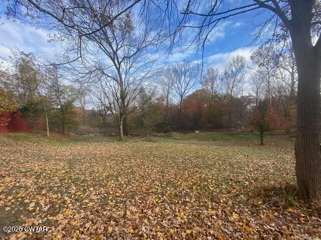 a view of backyard with green space