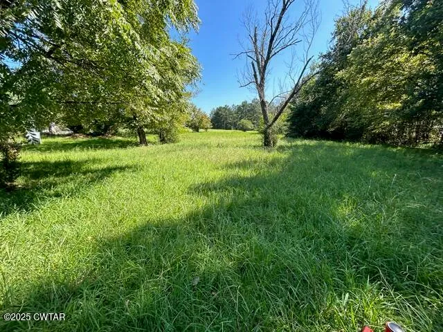 a view of yard with green space
