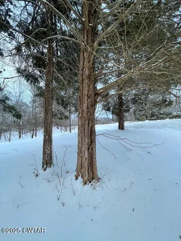 a view of outdoor space with trees