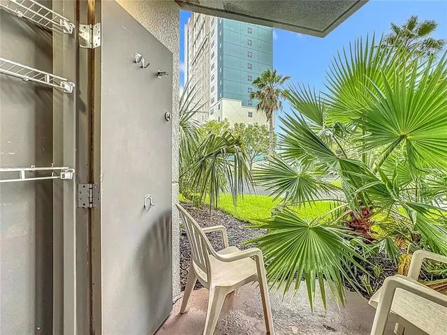 a view of a palm plant with a glass door