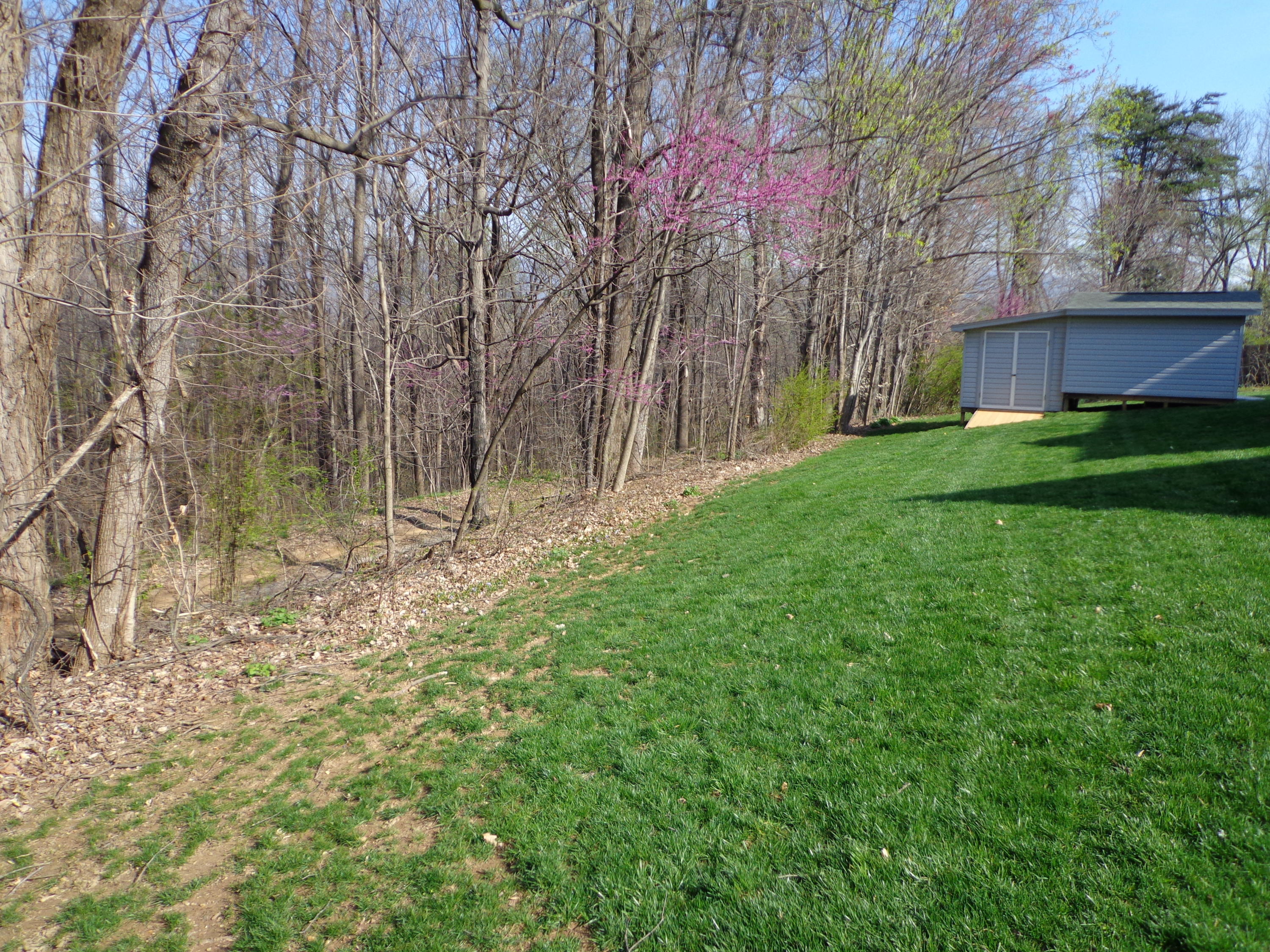 1779 Millbridge Road Salem, VA 24153 - Photo 68 of 72 DSC02840