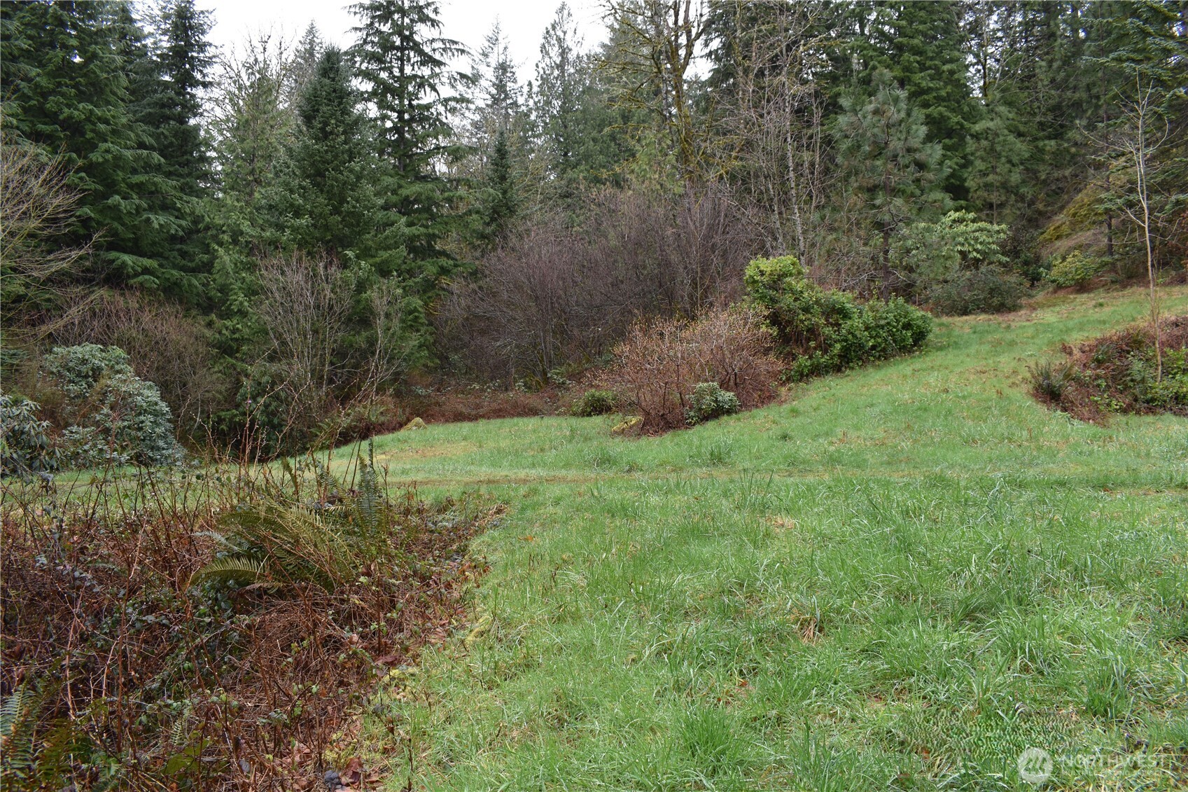 15327 May Creek Road Gold Bar, WA 98251 - Photo 28 of 35 a view of a yard with a tree