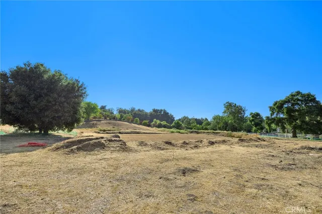 a view of a beach with a tree in the background