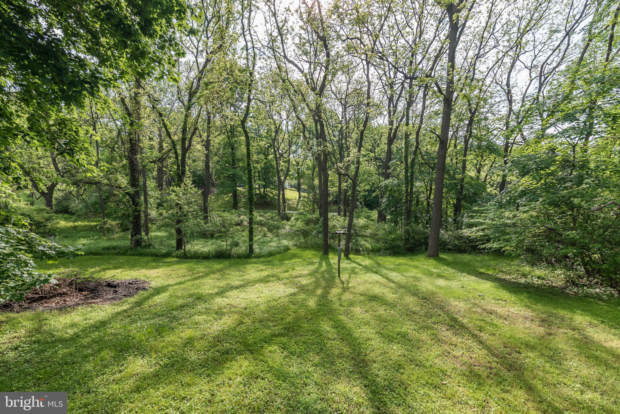 4151 Buffalo Road Mount Airy, MD 21771 - Photo 3 of 26
