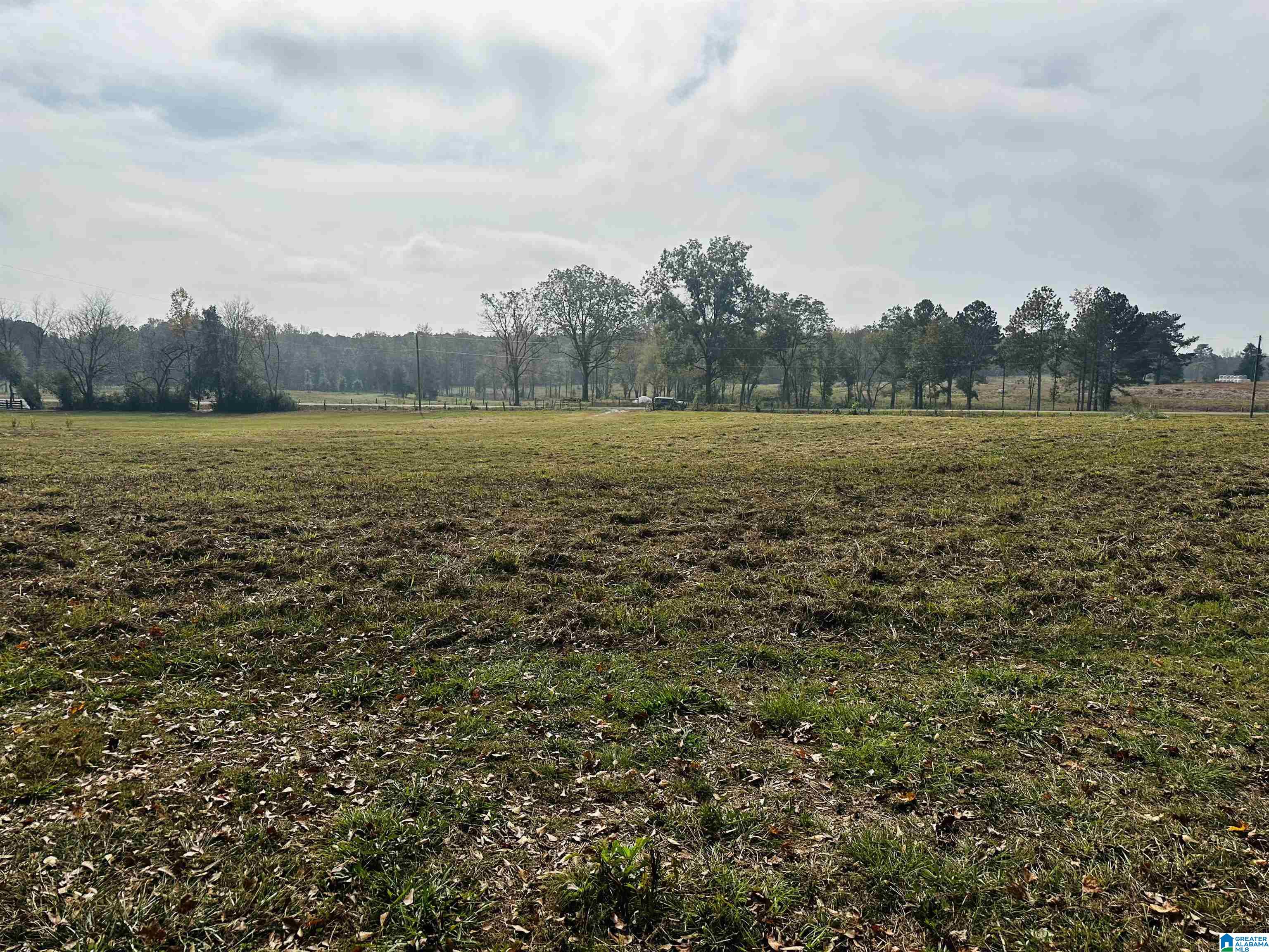 1721 McVey Road Lineville, AL 36266 - Photo 3 of 12