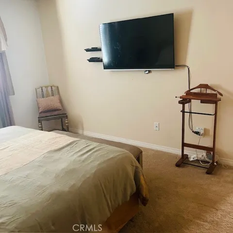 a view of a backyard with plants